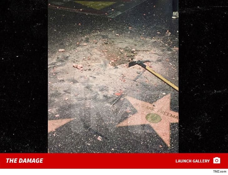 Donald Trump star damage/  pickax photos