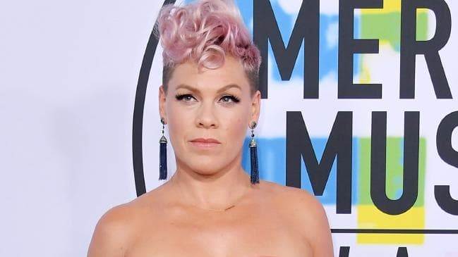 P!NK has angrily lashed out at cruel online trolls. Picture: Getty ImagesSource:Getty Images
