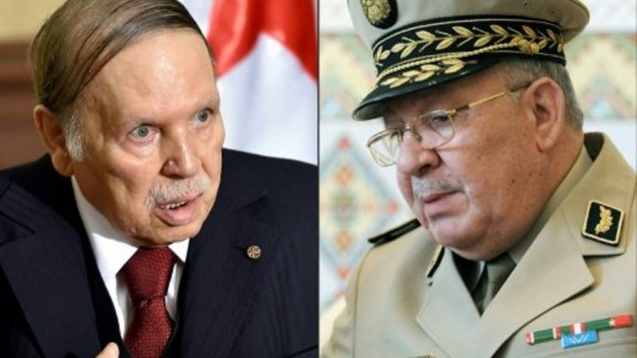 Algerian army chief of staff says Bouteflika must resign immediately