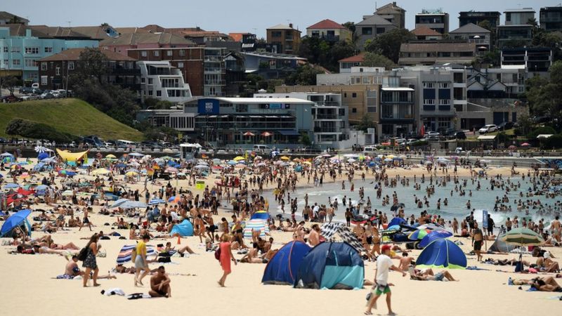 EPA / Temperatures in Sydney over the weekend have hit 40C