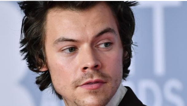Harry Styles has already met Olivia Wilde’s children. Picture: Gareth Cattermole/Getty ImagesSource:Getty Images