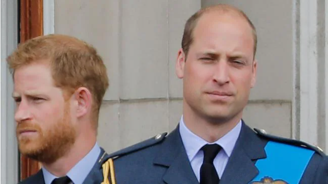 There’s now a “lack of trust” between William and Harry. Picture: Tolga Akmen/AFPSource:AFP