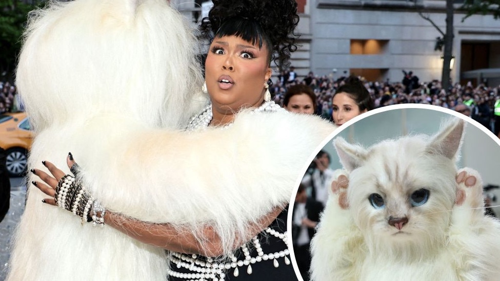 Lizzo caught in weird Met Gala moment