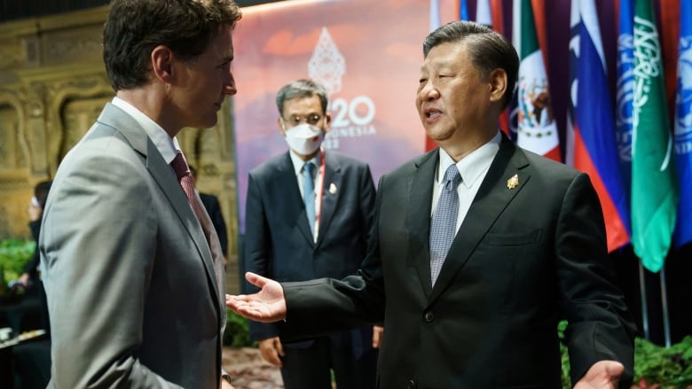 Prime Minister Justin Trudeau speaks with China's President Xi Jinping at the G20 Leaders' Summit in Bali, Indonesia on November 16, 2022. (Reuters)