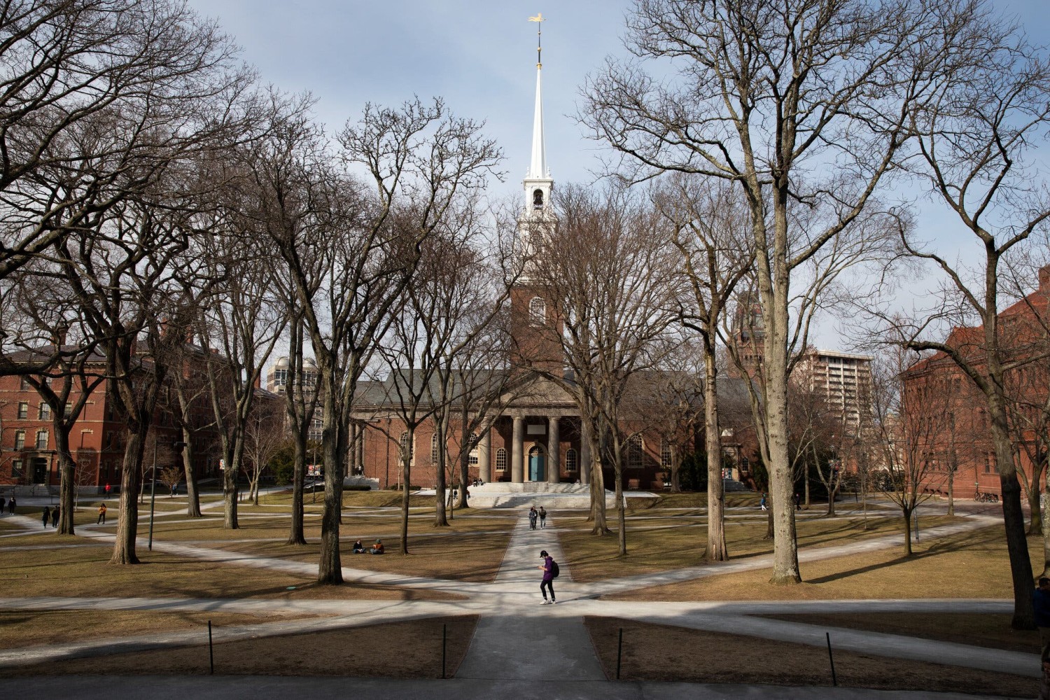 The Harvard University campus in Cambridge, Mass.Credit...Kayana Szymczak for The New York Times