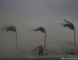 Palm trees sway in a gust of wind as a firefighter carries a water hose while battling a wildfire at Faria State Beach in Ventura, Calif., on Dec. 7, 2017.