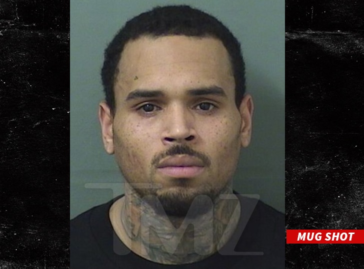 Chris Brown arrested after Florida concert: See his mug shot