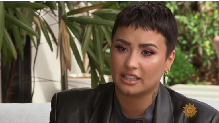Demi Lovato: 'I am too gay to marry a man right now