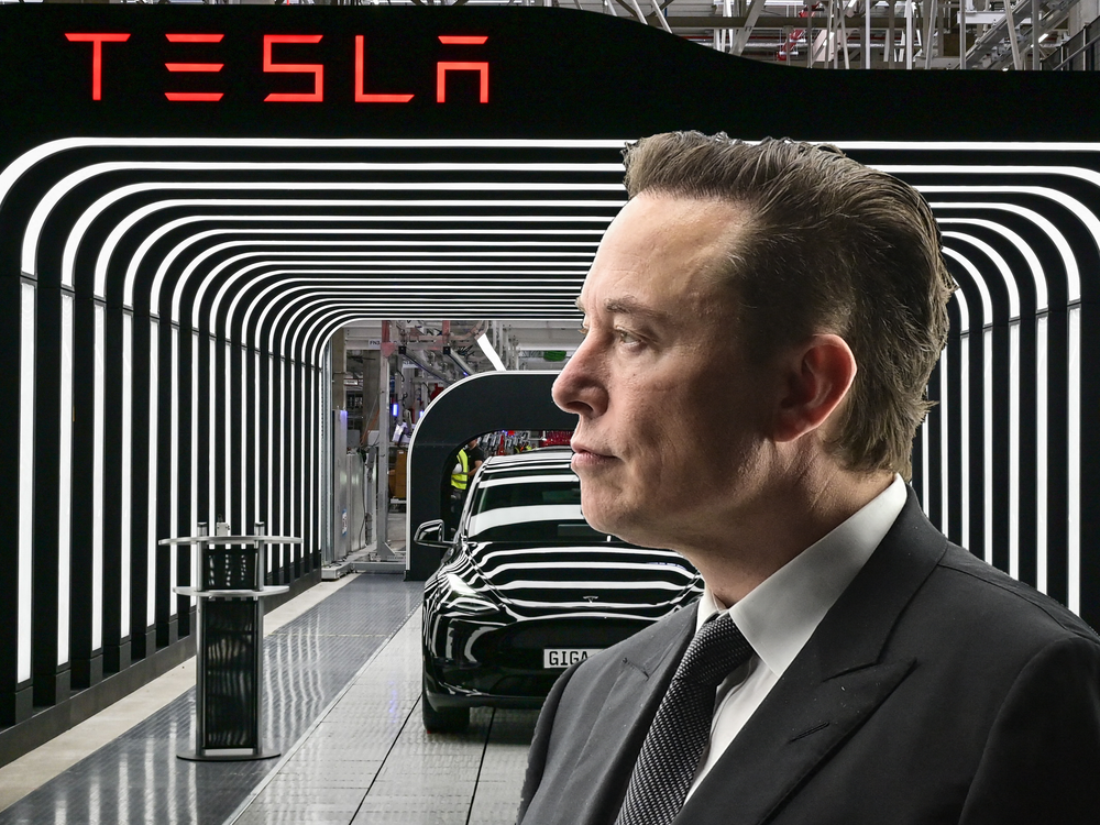 Elon Musk announced in June Tesla's headcount would increase. Patrick Pleul/Getty Images