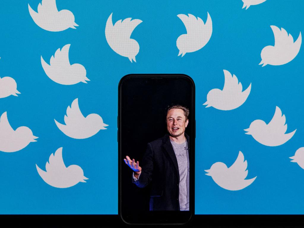 ​Musk roasts new discovery at Twitter  ​