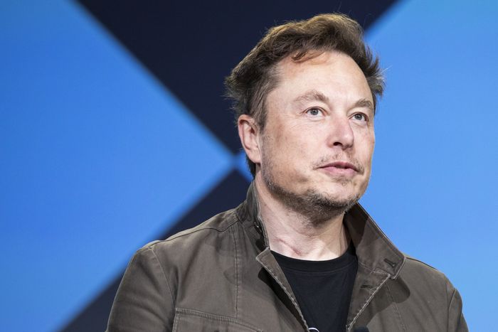 Elon Musk says AI companies were scraping so much data from Twitter that service was being degraded for normal users. PHOTO: MATTHEW BUSCH FOR THE WALL STREET JOURNAL