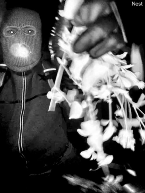 New images from a Nest camera show an armed individual appearing to have tampered with the camera at Nancy Guthrie's front door on the morning of her disappearance. FBI