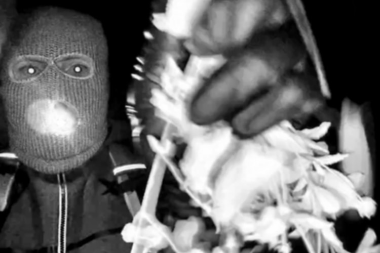 FBI Director Kash Patel released a surveillance photo, Feb. 10, 2026 showing a potential subject in investigation of the disappearance of Nancy Guthrie in Tucson, AZ. @FBIDirectorKash/X