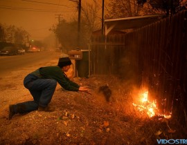 Carolyn Potter throws dirt on her fence along Nye Road in an effort to save her house from the Thomas Fire in Casita Springs on Tuesday. Wally Skalij/LA Times via Getty Images	 A mansion that survived a wildfire sits on a hilltop in the Bel Air distr