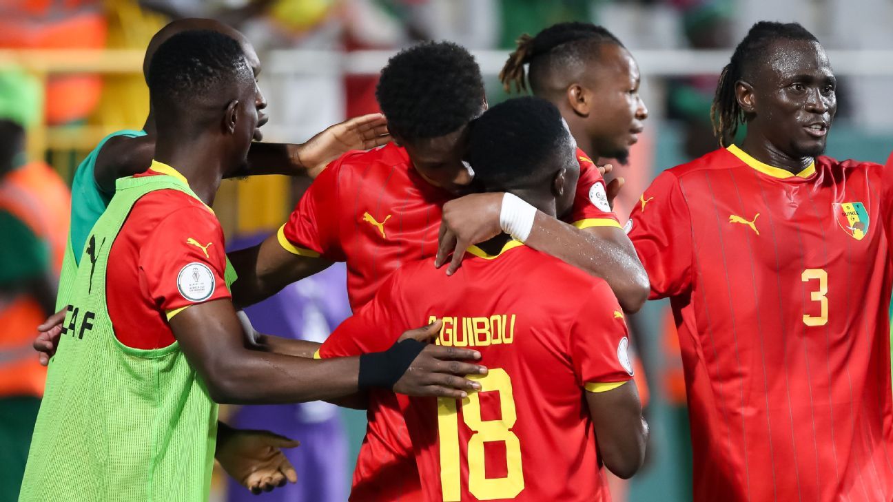 Guinea FA urge fans calm after six die in AFCON celebrations